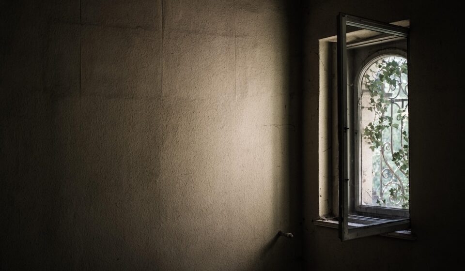 window, old, abandoned, ivy, overgrown, shadow, frame, wall, lost places, window, window, window, window, window, frame, wall, wall, wall