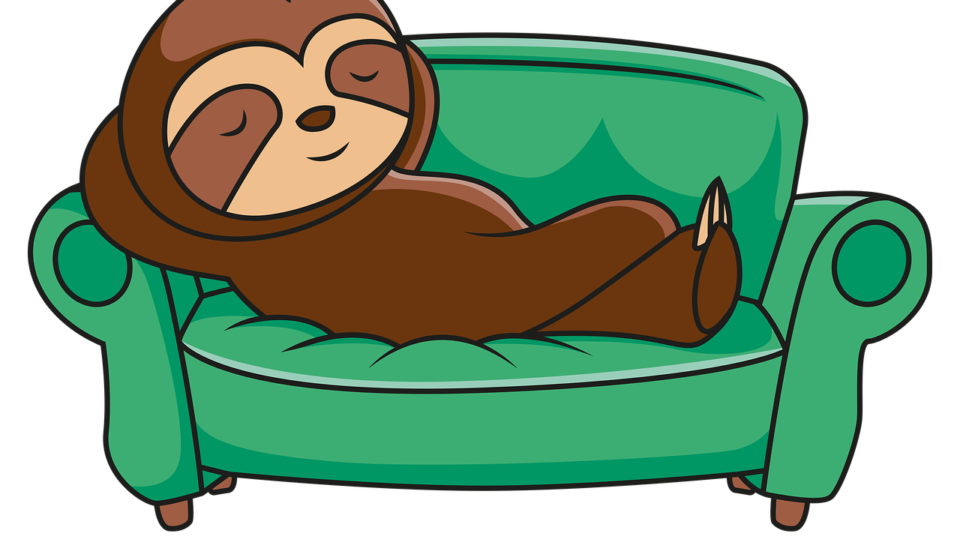 sloth, sleeping, animal, rest, sleep, cute, relax, nap, lazy, funny, pet, mammal, relaxed, wildlife, rainforest, nature, tired, jungle, sloth, sloth, sloth, sloth, sleeping, rest, sleep, sleep, sleep, sleep, sleep, nap, lazy, lazy, lazy, lazy, funny, funny, tired
