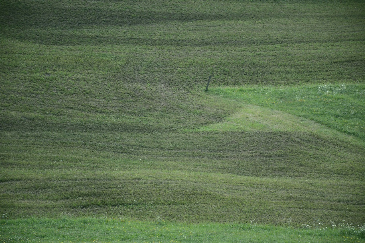 lawn, grass, south tyrol, velvet, nature, green