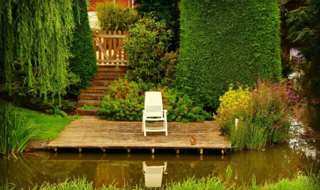 wooden patio, chair, furniture, garden, water, nature, pond, tree, reflection