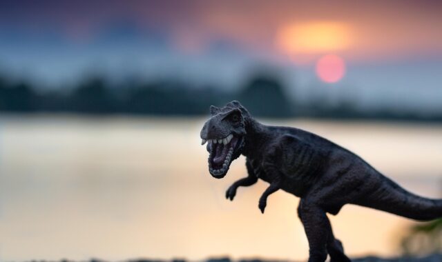 trex, dinosaur, toy, figure, model, dino, tyrannosaurus, animal, reptile, wildlife, extinct, sunset, nature, closeup