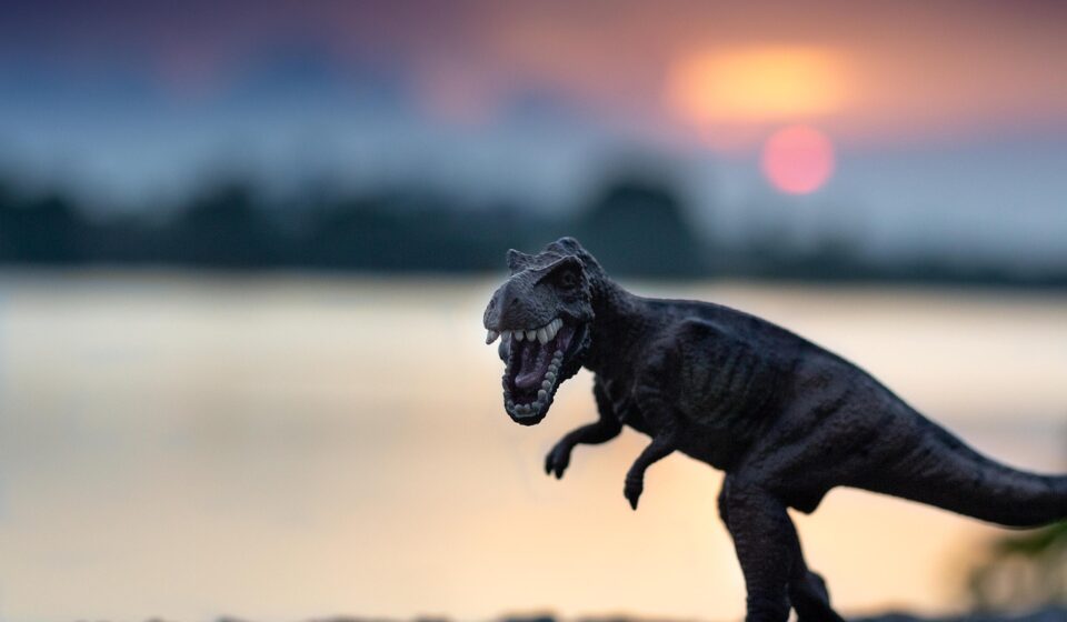 trex, dinosaur, toy, figure, model, dino, tyrannosaurus, animal, reptile, wildlife, extinct, sunset, nature, closeup