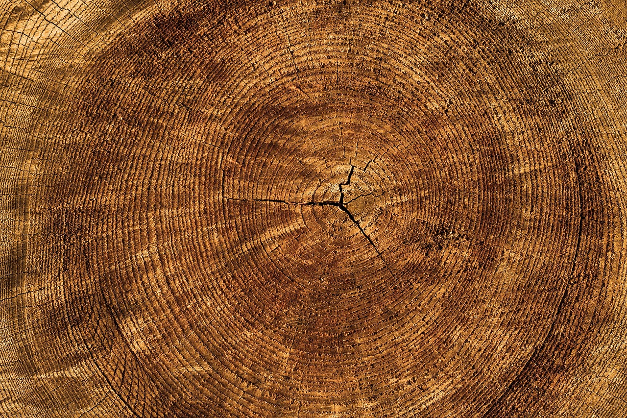 annual rings, 4k wallpaper, tree, texture, wallpaper 4k, wallpaper hd, cool backgrounds, laptop wallpaper, structure, mac wallpaper, beautiful wallpaper, wood, nature, windows wallpaper, full hd wallpaper, hd wallpaper, desktop backgrounds, free background, free wallpaper, 4k wallpaper 1920x1080, pattern, background