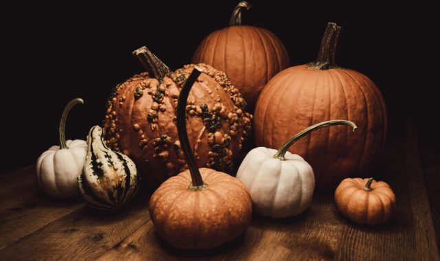 pumpkins, halloween, table, gourds, harvest, thanksgiving, autumn, fall, pumpkins, pumpkins, pumpkins, halloween, halloween, halloween, table, harvest, thanksgiving, thanksgiving, thanksgiving, thanksgiving, thanksgiving, fall