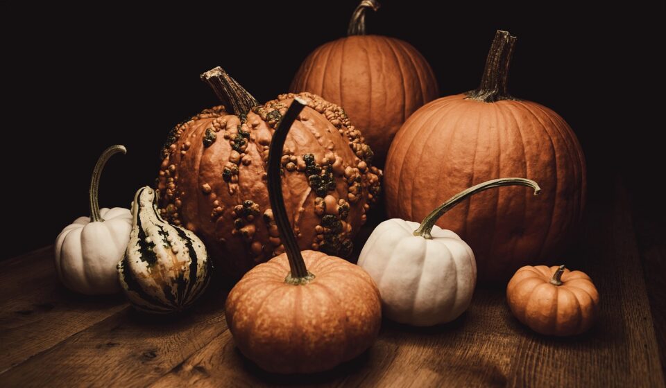 pumpkins, halloween, table, gourds, harvest, thanksgiving, autumn, fall, pumpkins, pumpkins, pumpkins, halloween, halloween, halloween, table, harvest, thanksgiving, thanksgiving, thanksgiving, thanksgiving, thanksgiving, fall
